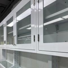 Laboratory cabinet